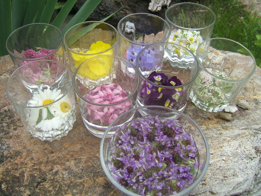 flowers in water